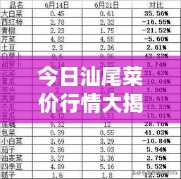 今日汕尾菜价行情大揭秘，最新消息一览表