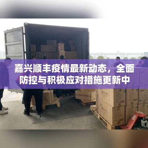 嘉兴顺丰疫情最新动态，全面防控与积极应对措施更新中