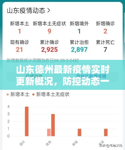 山东德州最新疫情实时更新概况，防控动态一网打尽