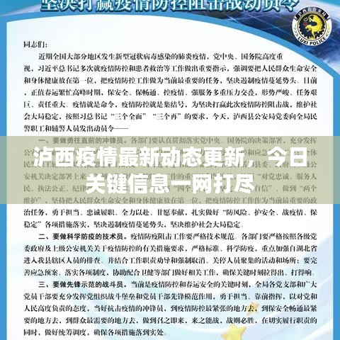 泸西疫情最新动态更新，今日关键信息一网打尽