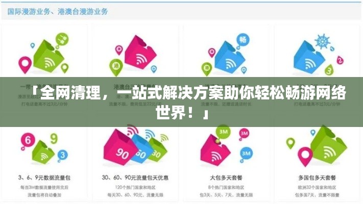 「全网清理，一站式解决方案助你轻松畅游网络世界！」
