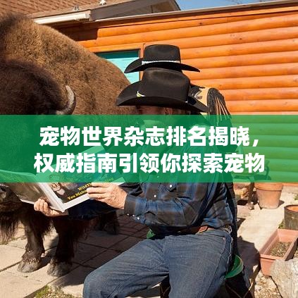宠物世界杂志排名揭晓，权威指南引领你探索宠物领域！