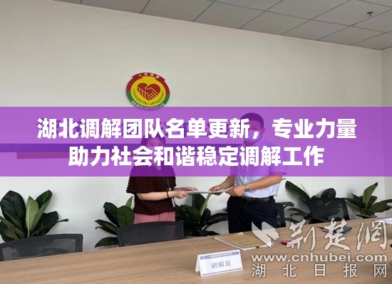 湖北调解团队名单更新，专业力量助力社会和谐稳定调解工作