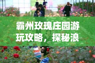 霸州玫瑰庄园游玩攻略，探秘浪漫花海之旅