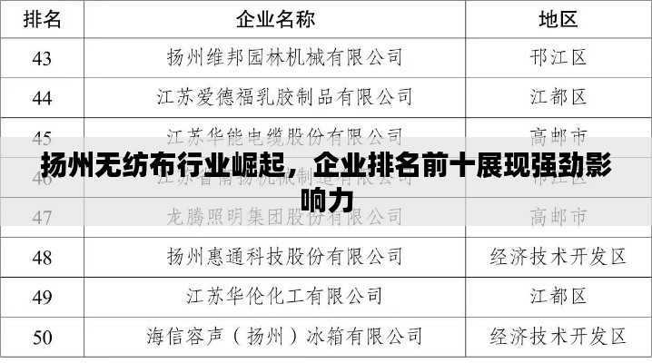 扬州无纺布行业崛起，企业排名前十展现强劲影响力