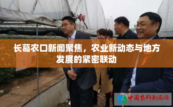 长葛农口新闻聚焦，农业新动态与地方发展的紧密联动