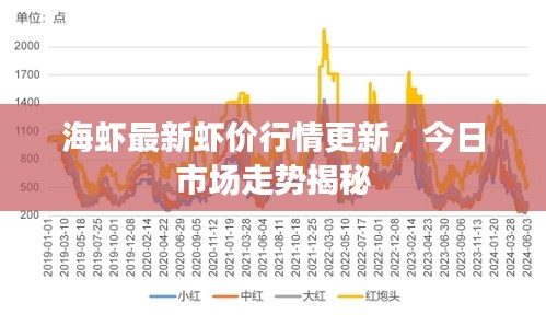 海虾最新虾价行情更新，今日市场走势揭秘