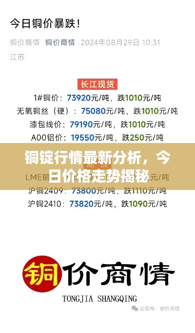 铜锭行情最新分析，今日价格走势揭秘
