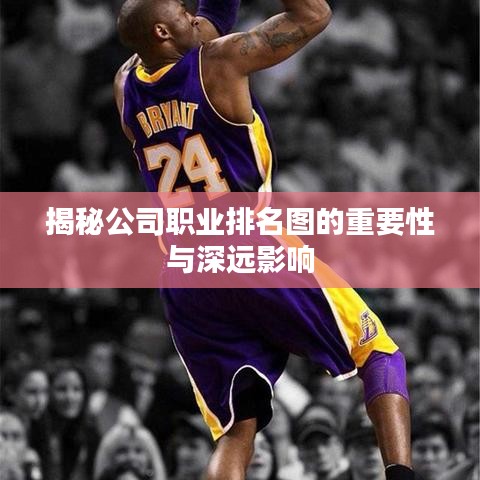 揭秘公司职业排名图的重要性与深远影响