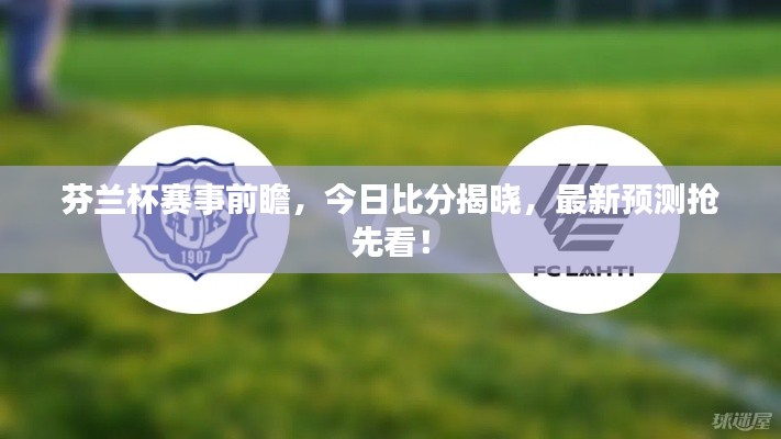 芬兰杯赛事前瞻，今日比分揭晓，最新预测抢先看！
