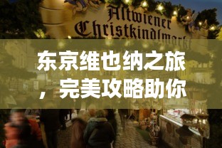 东京维也纳之旅，完美攻略助你畅游浪漫之都