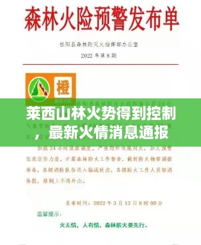 莱西山林火势得到控制，最新火情消息通报