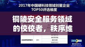 铜陵安全服务领域的佼佼者，秩序维护公司排名榜揭晓！