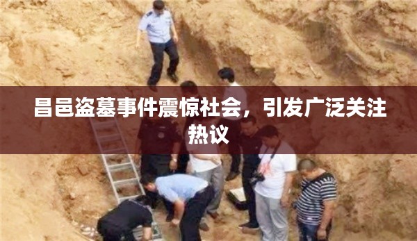 昌邑盗墓事件震惊社会，引发广泛关注热议