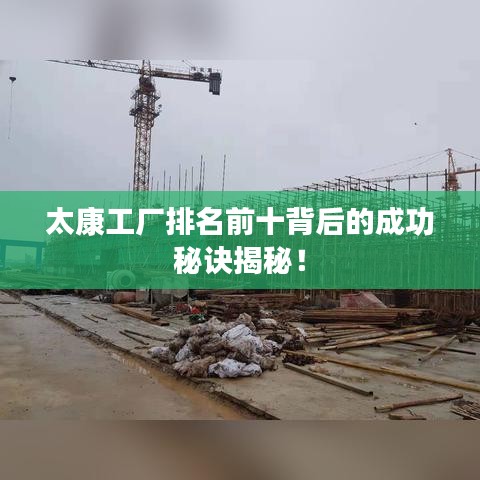 太康工厂排名前十背后的成功秘诀揭秘！
