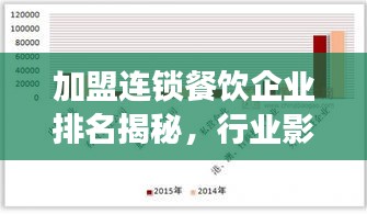 加盟连锁餐饮企业排名揭秘，行业影响力与品牌竞争力分析