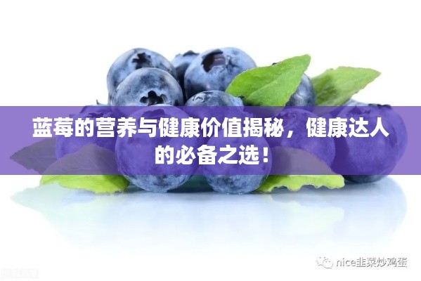 蓝莓的营养与健康价值揭秘，健康达人的必备之选！