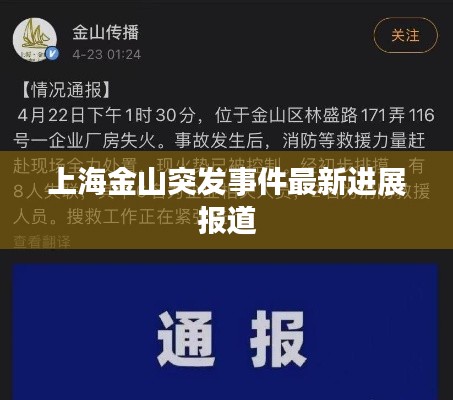 上海金山突发事件最新进展报道