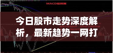 今日股市走势深度解析，最新趋势一网打尽