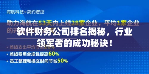 软件财务公司排名揭秘，行业领军者的成功秘诀！