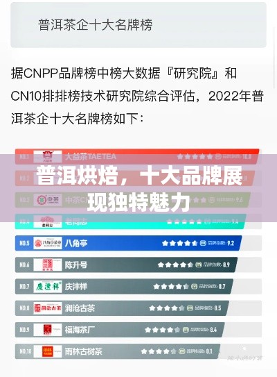 普洱烘焙，十大品牌展现独特魅力