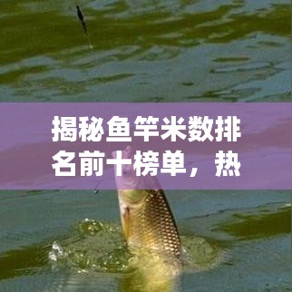 揭秘鱼竿米数排名前十榜单，热门品牌与性能大比拼！