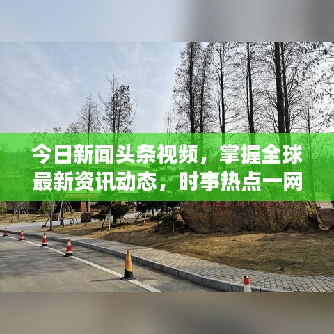 今日新闻头条视频，掌握全球最新资讯动态，时事热点一网打尽