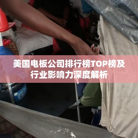 美国电板公司排行榜TOP榜及行业影响力深度解析