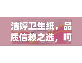 洁婷卫生纸，品质信赖之选，呵护您的生活健康