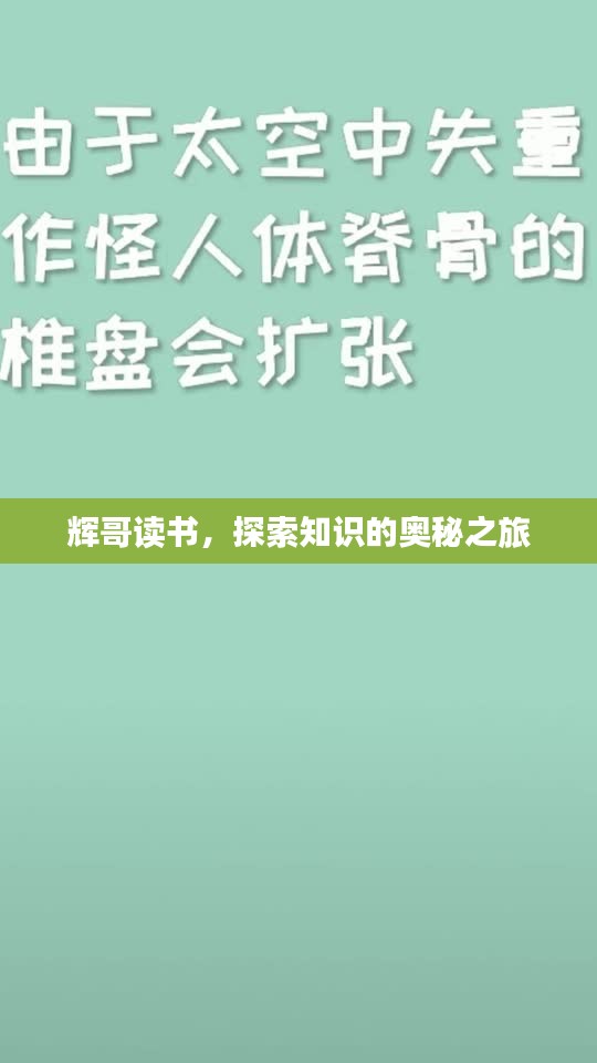 辉哥读书，探索知识的奥秘之旅