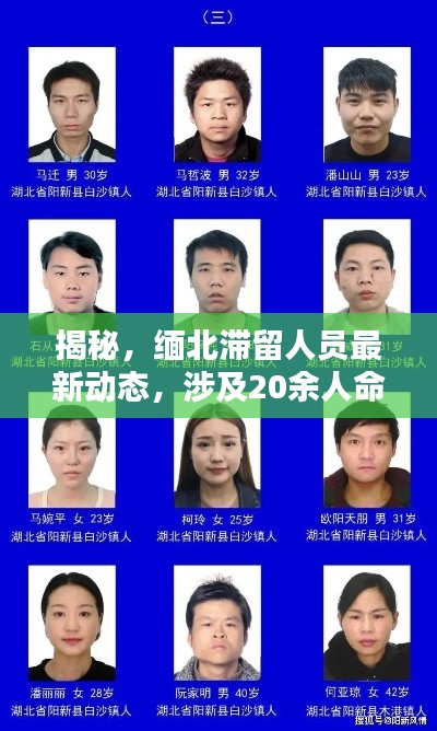 揭秘，缅北滞留人员最新动态，涉及20余人命运揭晓！