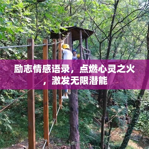 改弦易张