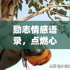 励志情感语录,点燃心灵之火,激发无限潜能