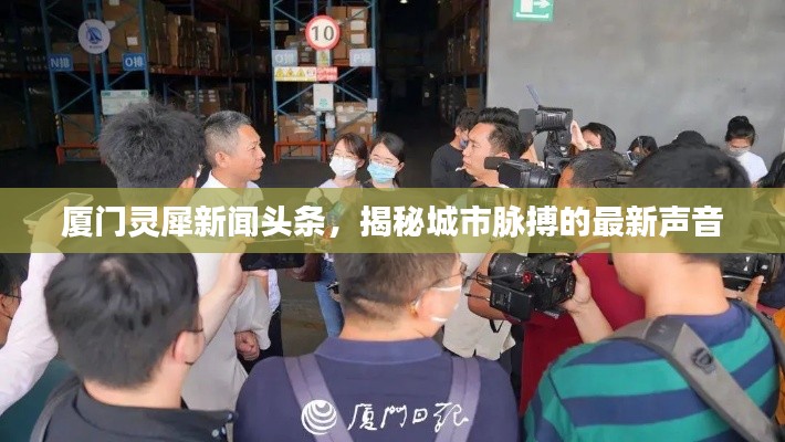 厦门灵犀新闻头条，揭秘城市脉搏的最新声音