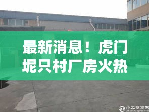 雍容尔雅