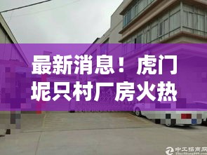 最新消息!虎门坭只村厂房火热出售中!