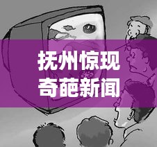 朴素无华