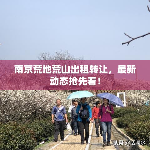 灰飞烟灭