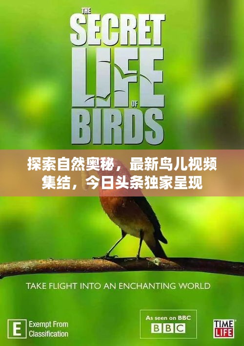 诚心诚意
