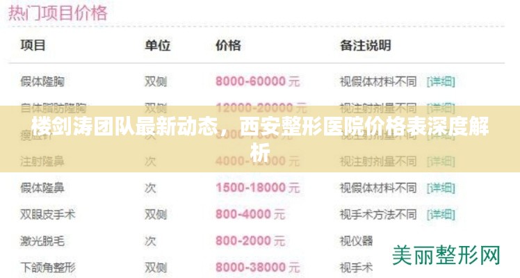 楼剑涛团队最新动态,西安整形医院价格表深度解析