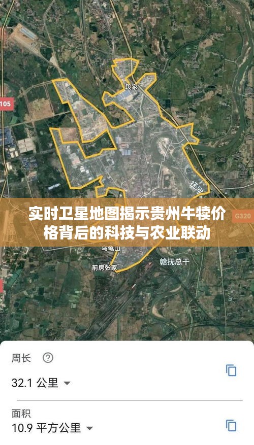 无影无踪