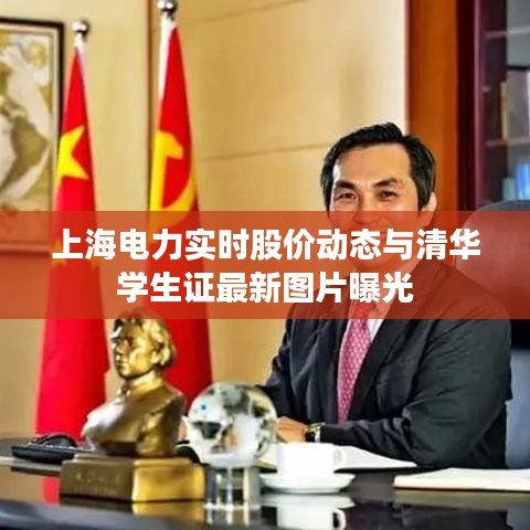 上海电力实时股价动态与清华学生证最新图片曝光