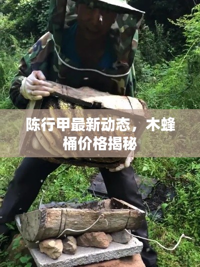 陈行甲最新动态,木蜂桶价格揭秘