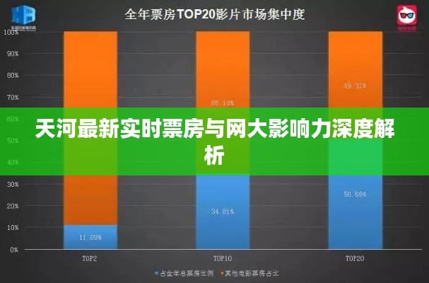 天河最新实时票房与网大影响力深度解析