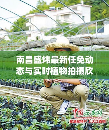 南昌盛炜最新任免动态与实时植物拍摄欣赏