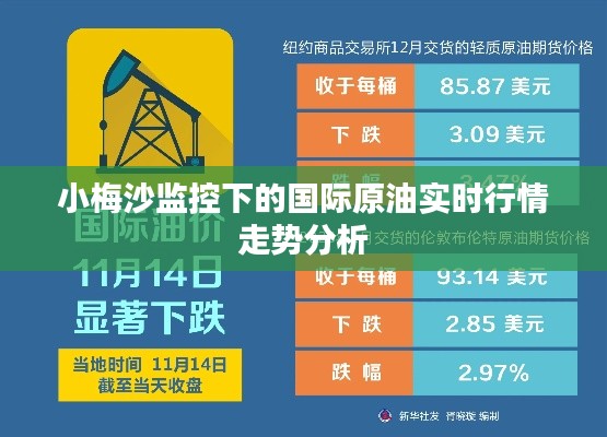 小梅沙监控下的国际原油实时行情走势分析