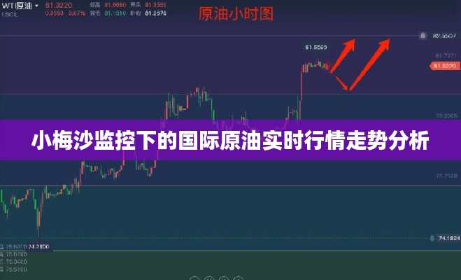 小梅沙监控下的国际原油实时行情走势分析