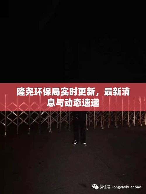 隆尧环保局实时更新，最新消息与动态速递