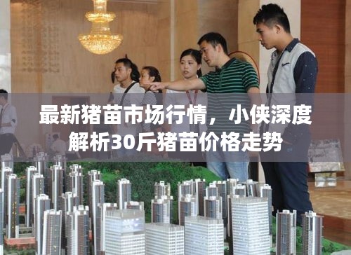 最新猪苗市场行情,小侠深度解析30斤猪苗价格走势