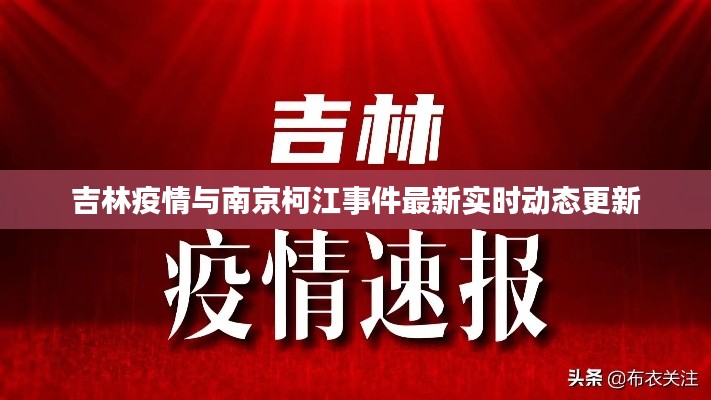 毛手毛脚